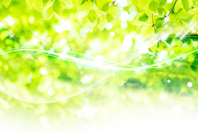 墓じまい、改葬、行政手続き代行、